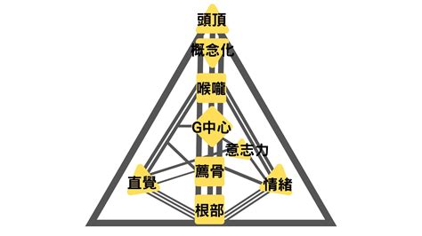 人類圖分析怎麼看|人類圖分析怎麼看？遵循 4 大人類圖類型的「權威與策。